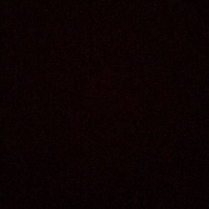 Meet your Posher, Faustine